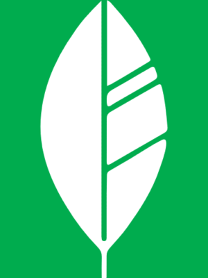 favicon Vinyasa paso a paso